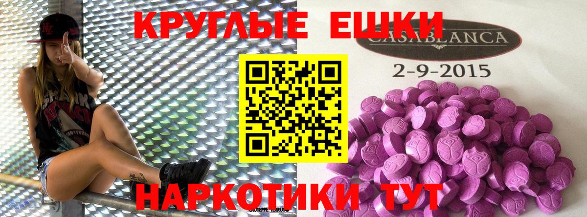 Сухой Лог  ЭКСТАЗИ Philipp Plein  Вход с VPN 